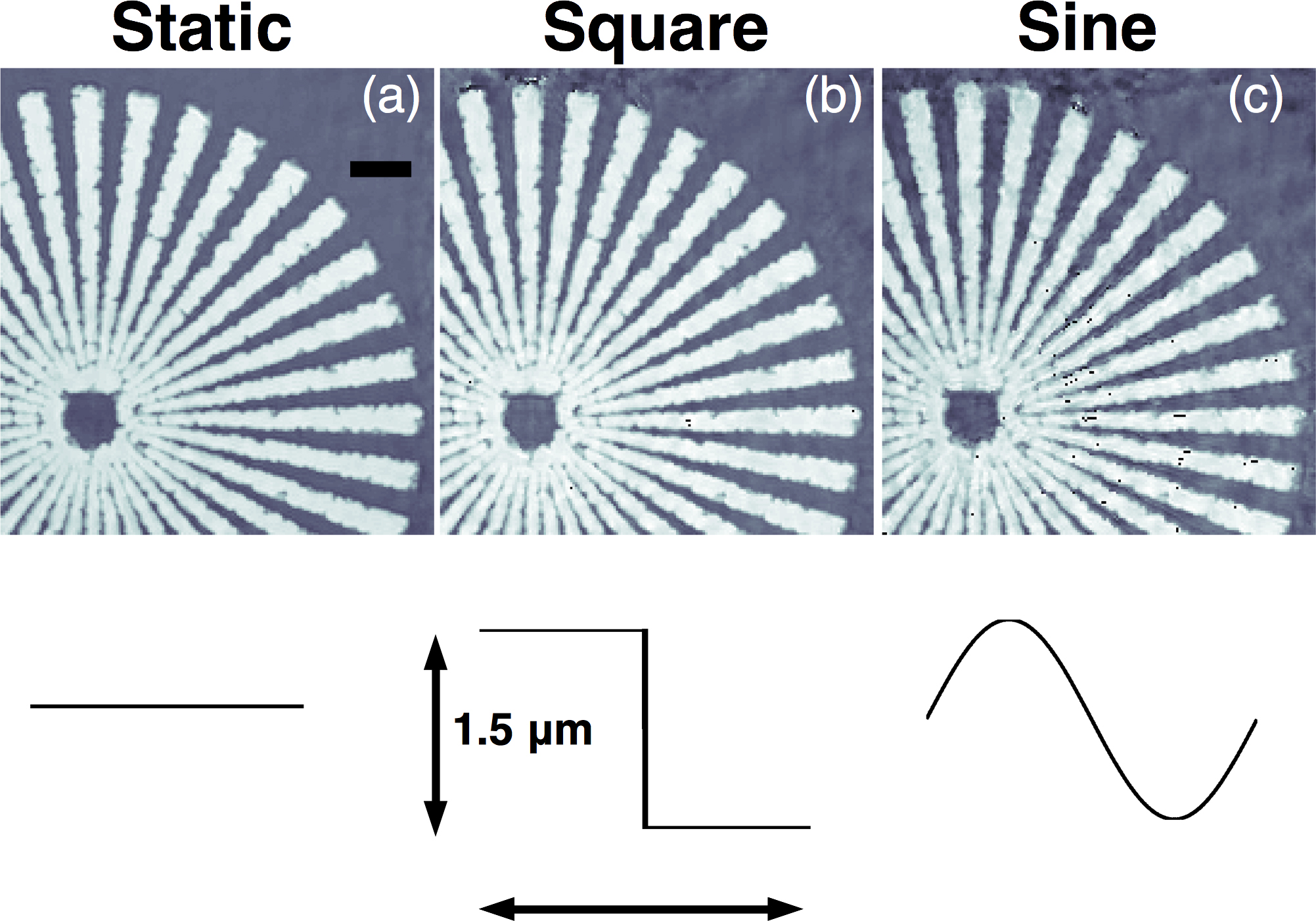 Imaging Vibrations Without The Blur | Advanced Photon Source